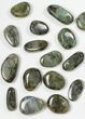 Lot: Polished Labradorite Pebbles - kg ( lbs) #90621-1